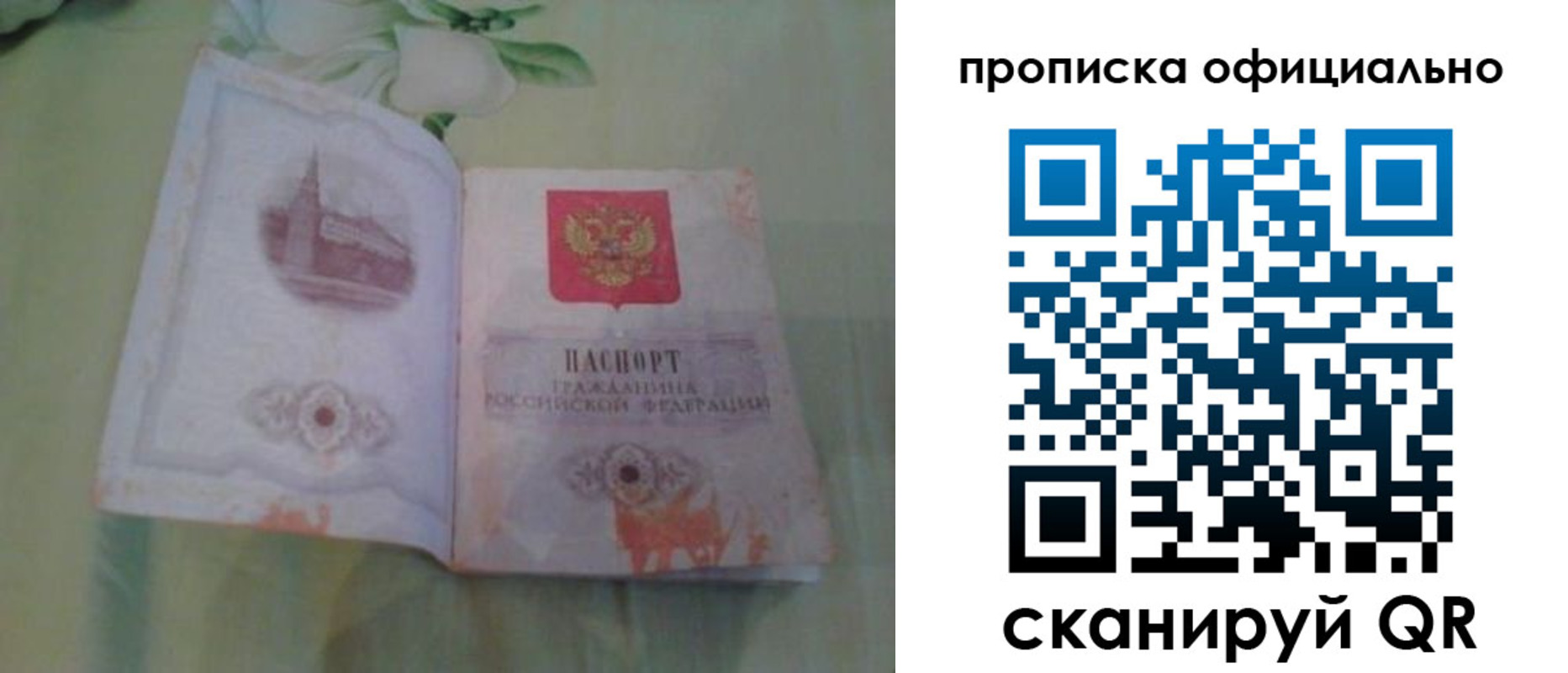 где прописаться в Ногинске